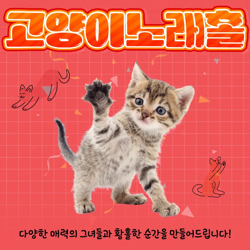 고양이노래홀 대표 1번 이미지
